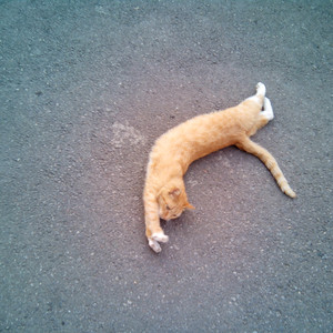 啊啊啊~好大~嗯嗯嗯~c我~射
